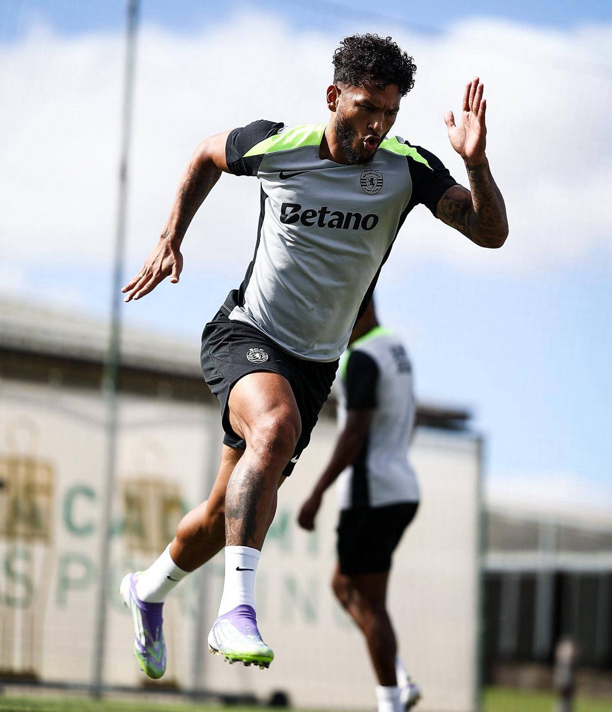 国际比赛日意甲焦点战，波尔图刷新队史纪录，信心回归，控场能力受关注的简单介绍